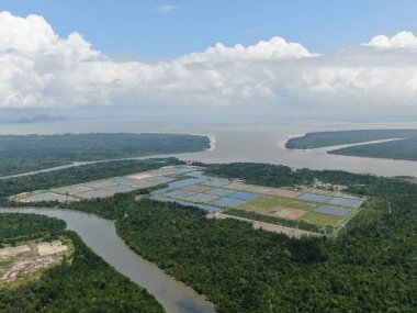 Kuching, Sarawak / Malezya - 15 Mart 2020: Malezya 'da bir balıkçılık ve karides çiftliğinin havadan görünüşü