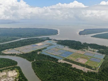Kuching, Sarawak / Malezya - 15 Mart 2020: Malezya 'da bir balıkçılık ve karides çiftliğinin havadan görünüşü