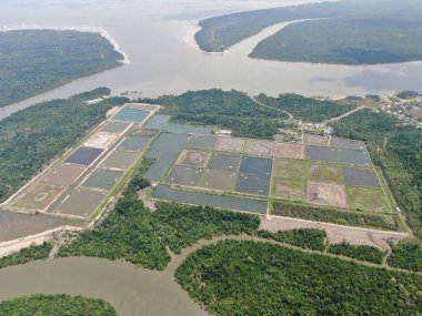 Kuching, Sarawak / Malezya - 15 Mart 2020: Malezya 'da bir balıkçılık ve karides çiftliğinin havadan görünüşü