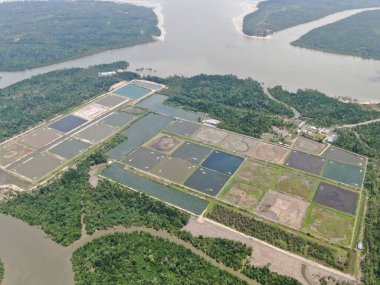 Kuching, Sarawak / Malezya - 15 Mart 2020: Malezya 'da bir balıkçılık ve karides çiftliğinin havadan görünüşü