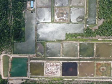 Kuching, Sarawak / Malezya - 15 Mart 2020: Malezya 'da bir balıkçılık ve karides çiftliğinin havadan görünüşü