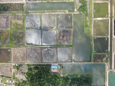 Kuching, Sarawak / Malezya - 15 Mart 2020: Malezya 'da bir balıkçılık ve karides çiftliğinin havadan görünüşü