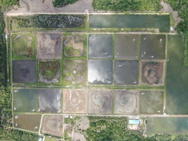 Kuching, Sarawak / Malezya - 15 Mart 2020: Malezya 'da bir balıkçılık ve karides çiftliğinin havadan görünüşü