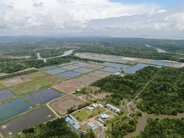 Kuching Sarawak Malásia Março 2020 Vista Aérea Uma Fazenda Pesca — Fotografia de Stock