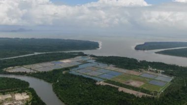 Malezya 'da bir balıkçılık ve karides çiftliğinin havadan görünüşü