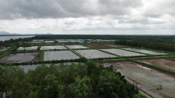 Kuching Sarawak Malasia Marzo 2020 Vista Aérea Una Granja Pesca — Vídeos de Stock