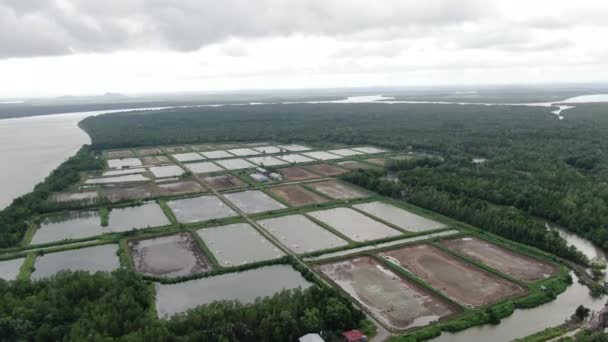 Kuching Sarawak Malaisie Mars 2020 Vue Aérienne Une Ferme Pêche — Video