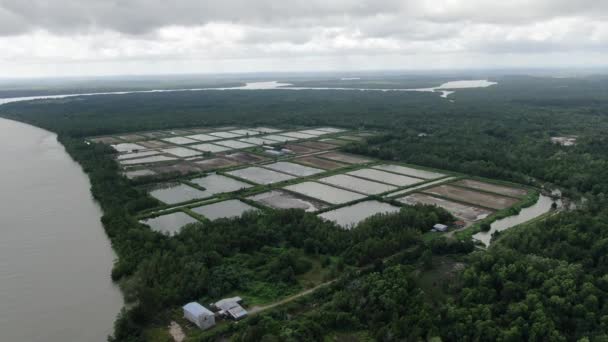 Kuching Sarawak Malaisie Mars 2020 Vue Aérienne Une Ferme Pêche — Video