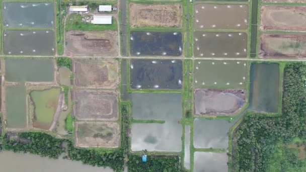 Kuching Sarawak Malaysia March 2020 Aerial View Fisheries Prawn Farm — 图库视频影像