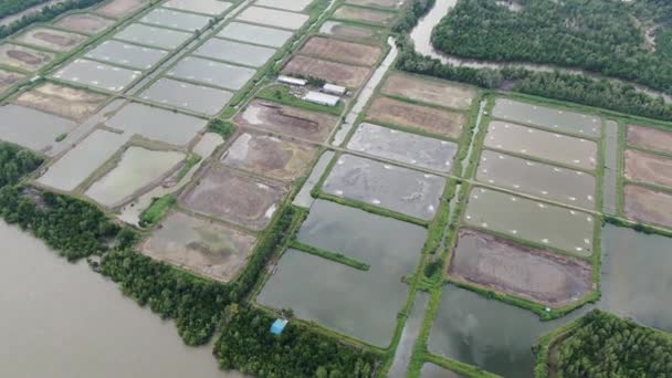 Kuching Sarawak Malajsie Března 2020 Letecký Pohled Rybářskou Krevetovou Farmu — Stock video