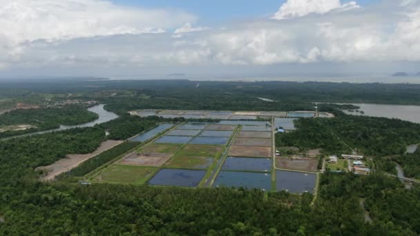 マレーシアの漁業とエビ養殖場の空中風景 — ストック動画