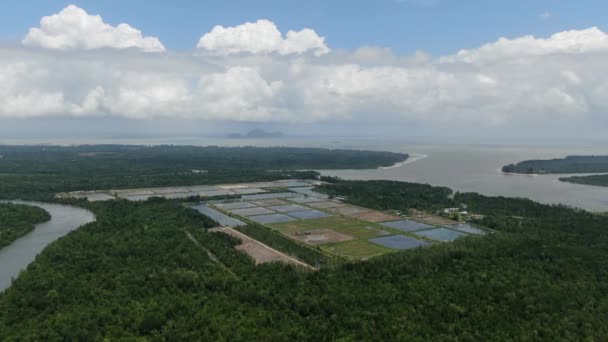 Veduta Aerea Allevamento Ittico Gamberetti Malesia — Video Stock