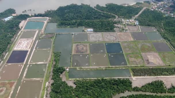 マレーシアの漁業とエビ養殖場の空中風景 — ストック動画