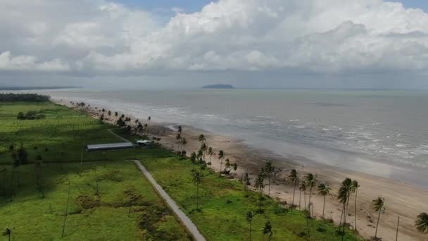 Der Goldene Strand Von Trombol Sarawak Insel Borneo — Stockvideo