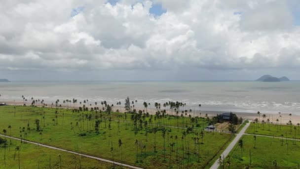 Золотой Пляж Тропеля Саравак Остров Борнео — стоковое видео