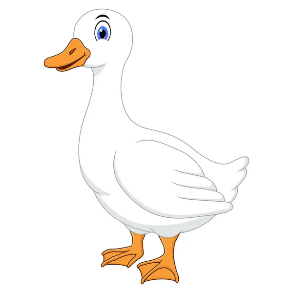 Illustration Canard Blanc Dessin Animé Sur Fond Blanc — Image vectorielle