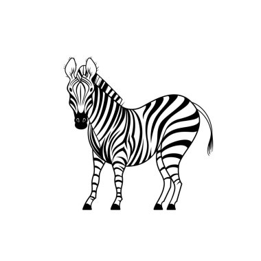 Zebra vector stock illustration. African wild animal concept. Zebra tattoo sketch. Vector illustration of zebra.