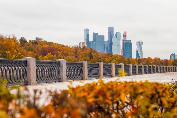 Московская авеню с золотой листвой и видами небоскребов — стоковое фото