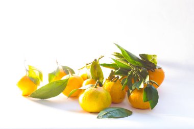 Mandalina çalı çırpı ve yapraklarda hafif bir arka plan ile grup