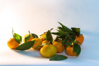 Mandalina çalı çırpı ve yapraklarda hafif bir arka plan ile grup