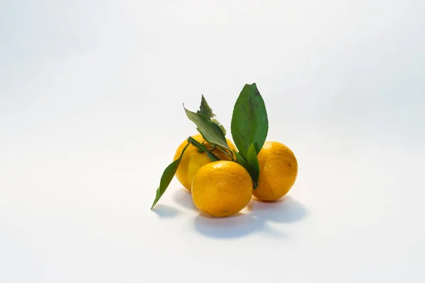 Group of tangerines with twigs and leaves on a light background — Stock Photo, Image