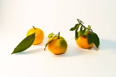 Mandalina çalı çırpı ve yapraklarda hafif bir arka plan ile grup