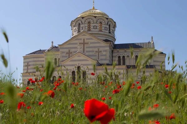 Vladimirsky Templo Chersonese Taurian Sevastopol Crimeia Dia Ensolarado Papoilas Florescendo — Fotografia de Stock