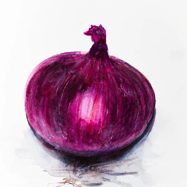 Colored Pencils Onions | Colored pencil art projects, Onion drawing, Art  drawings for kids