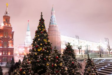 Moskova, Rusya. Gece ışıkları ve Manezhnaya S üzerinde Noel ağaçları