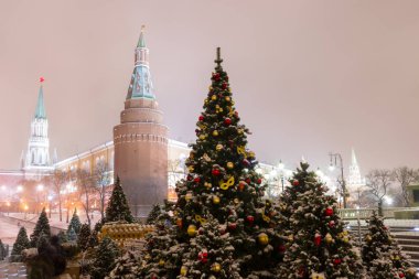 Moskova, Rusya. Gece ışıkları ve Manezhnaya S üzerinde Noel ağaçları