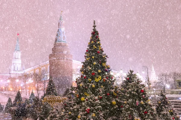 Moskova, Rusya. Gece ışıkları ve Manezhnaya S üzerinde Noel ağaçları