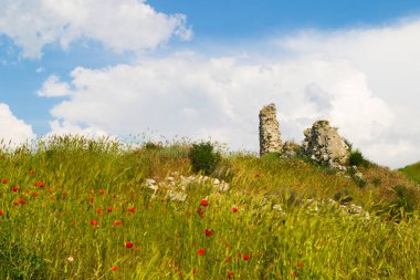 Kırım, Ukrayna. Çiçek açan yabani çiçekler ve gelincikler, yamaçlar, antik taşlar ve bulutlar, Sivastopol bölgesindeki antik bir şehir.