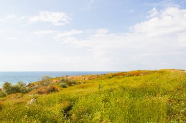 Çiçekli kır çiçekleri ve gelincikler, yamaçlar, anci