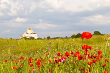 Chersonese Taurian, Sivastopol, Kırım, güneşli gün ve çiçek açan gelincikler