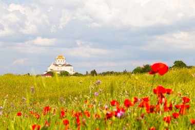 Chersonese Taurian, Sivastopol, Kırım, güneşli gün ve çiçek açan gelincikler