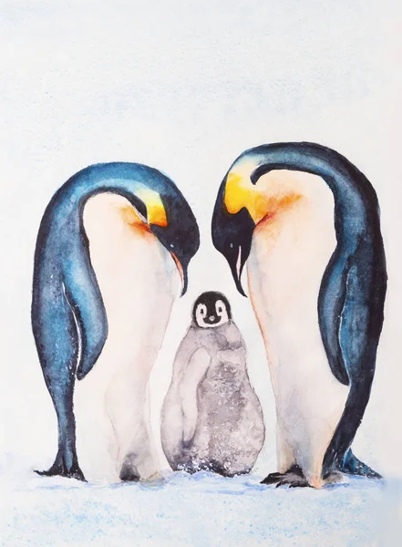 Family of emperor penguins with a chick. Watercolor drawing.