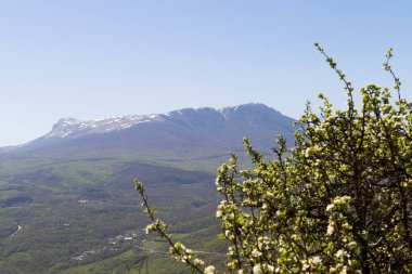 Ukrayna, Kırım, Alushta, Chatyr Dag dağı, çiçek açan meyve ağaçları. Güzel bahar manzarası. Kırım 'da Bahar.