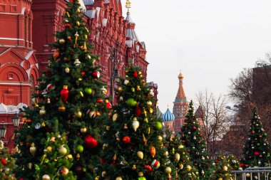 Rusya, Moskova, 24 Kasım 2019 - Merkezdeki Noel Ağaçları