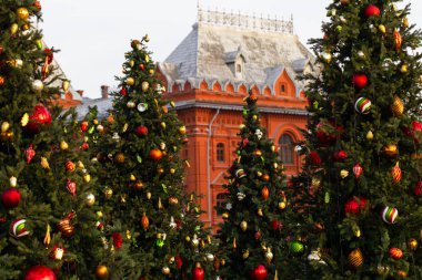 Moskova 'nın merkezinde, Mane' deki Kremlin yakınlarında Noel ağaçları var.