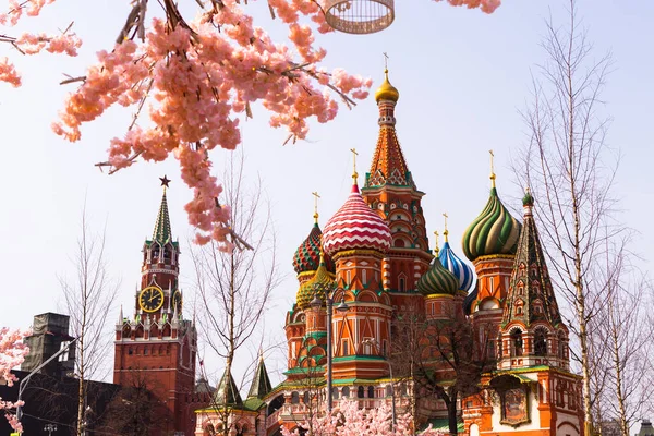 Moskova, Rusya, 16 Nisan 2018 - St. Basil 'in Katedrali, Kremlin ve Vasilyevsky Descent ilkbaharda yapay sakura ağaçlarıyla çevrili..