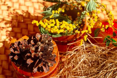 Saman yuvasına boyanmış Paskalya yumurtaları. Güneş ışığı. Paskalya 'da hayat.