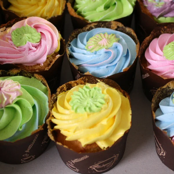 Hausgemachte Leckere Tasse Kuchen Mit Sahne — Stockfoto