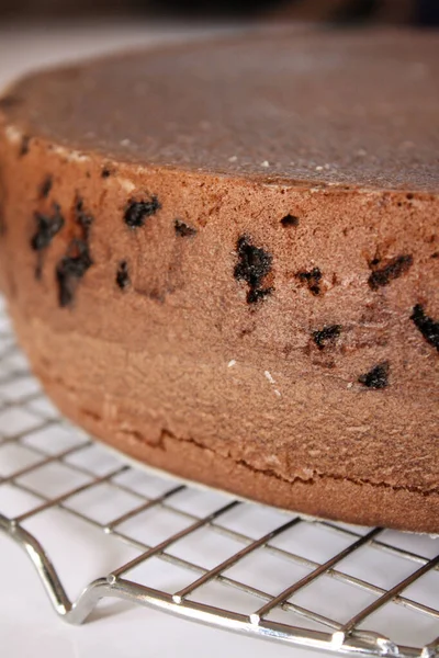 Homemade Delicious Fresh Baked Chocolate Cake — Stock Photo, Image