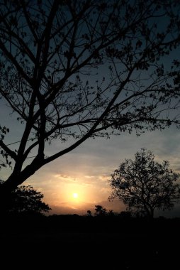 Gökyüzü açık ve inanılmaz gün doğumuyla güzel bir sabah