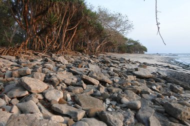 Jember, Endonezya - 24 Ekim 2019: Papuma Sahili Doğu Java Endonezya