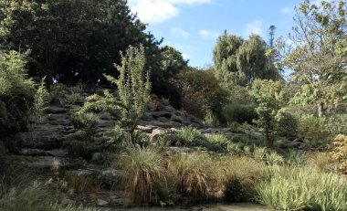 Yeni Zelanda güzel manzara