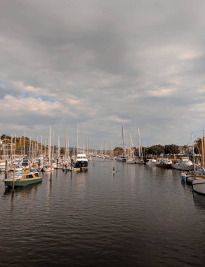Whangarei Port Yeni Zelanda 'da Güzel Günbatımı
