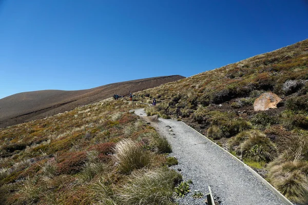 Tongariro Nowa Zelandia Grudzień 2019 Ludzie Trekking Tongariro Alpine Crossing — Zdjęcie stockowe