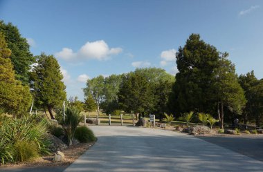 Yeni Zelanda 'daki Whangarei Şelalesi' nin manzarası.