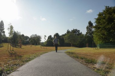 Yeni Zelanda 'daki Whangarei Şelalesi' nin manzarası.